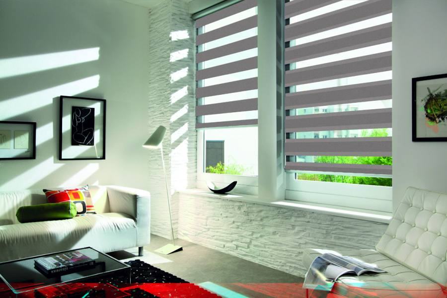 Doppelrollo 5053 Wohnzimmer Grau