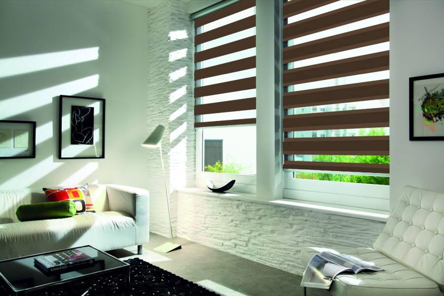 Doppelrollo 5013 Wohnzimmer Braun , Grau