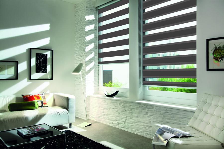 Doppelrollo 5015 Wohnzimmer Grau , Schwarz