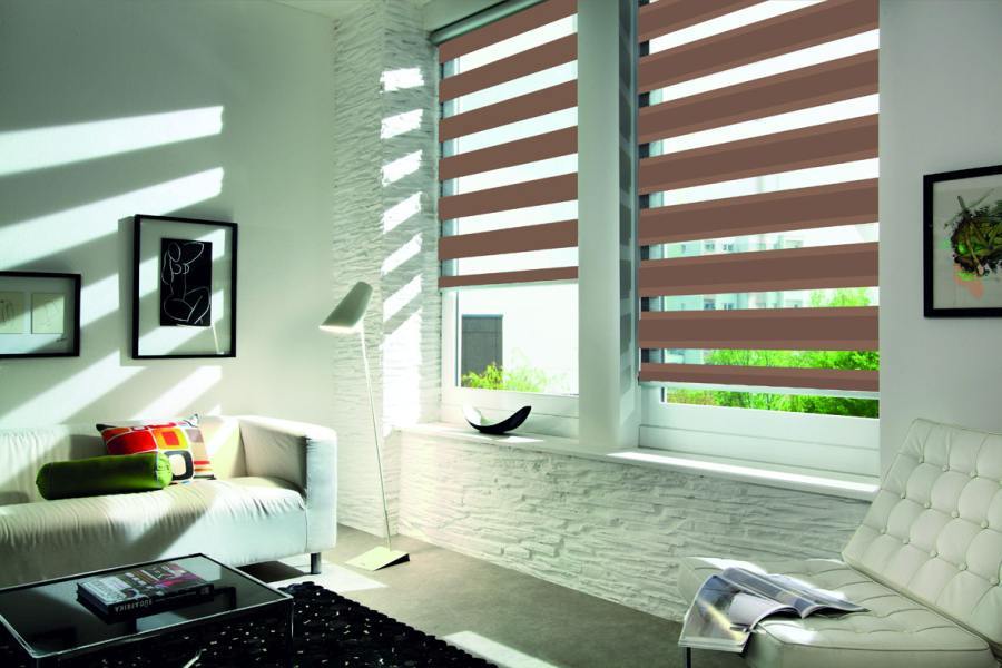 Doppelrollo 5059 Wohnzimmer Braun