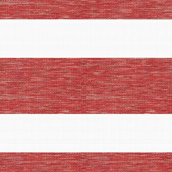 Striscia 5041