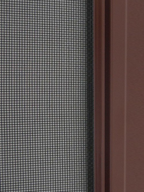 Braun