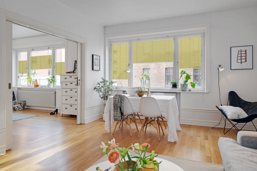 Plissee 1734 Esszimmer Grün