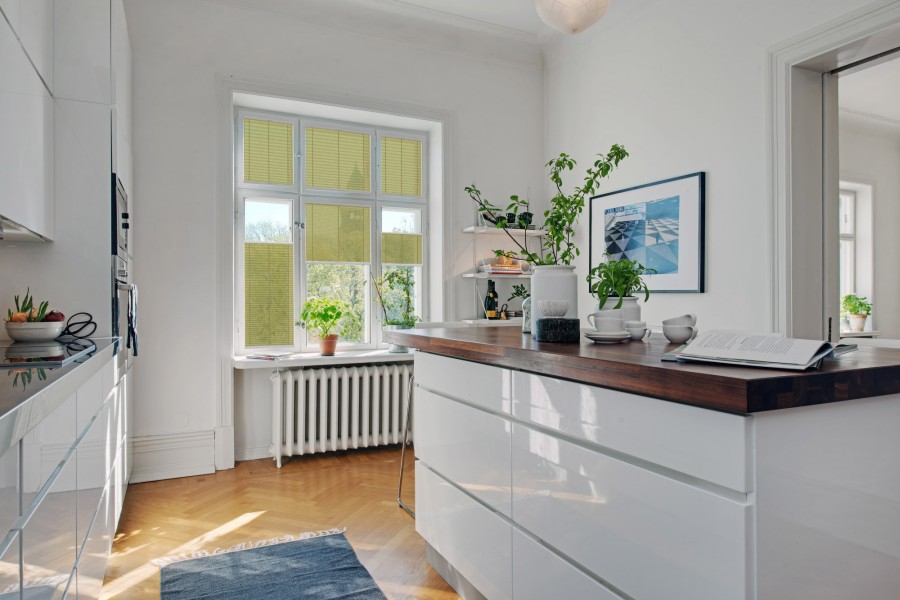 Plissee 1734 Küche Grün