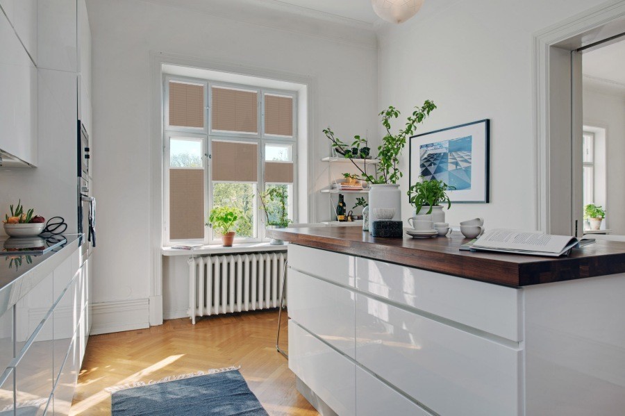 Plissee Lea Topar 1606 Küche