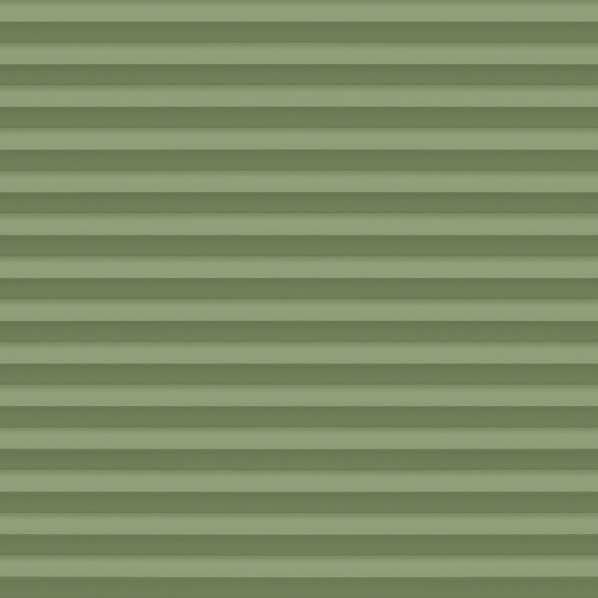 Madita 4656 fern
