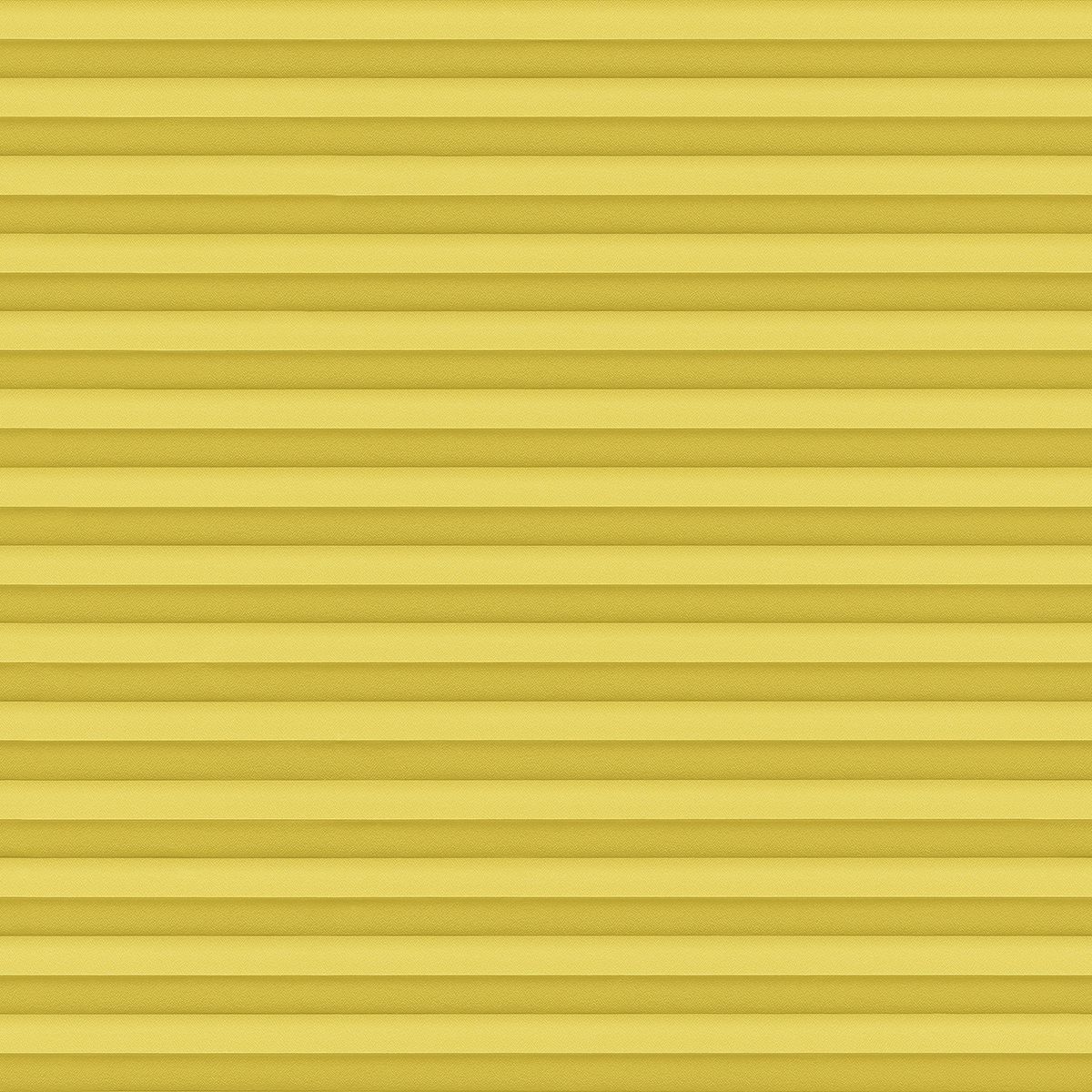 Tizian Perl 4668 fern