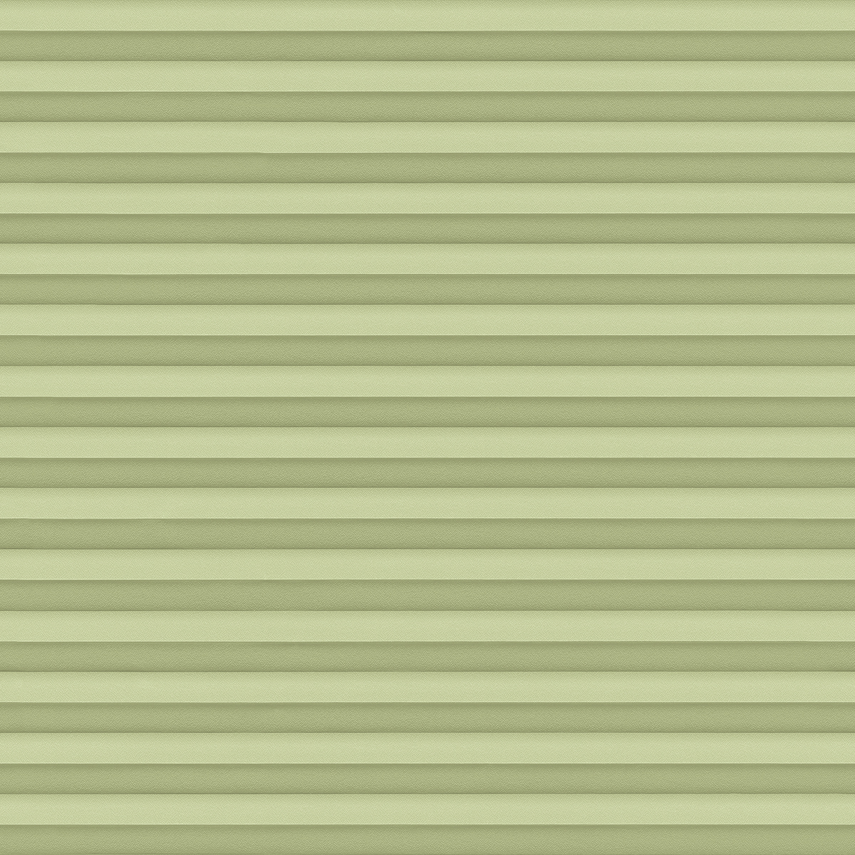 Tizian Perl 4670 fern
