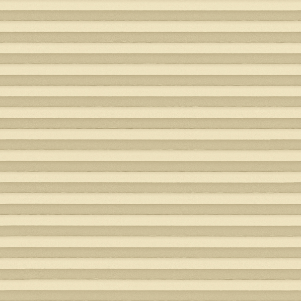 Vivid Blackout 4620 fern