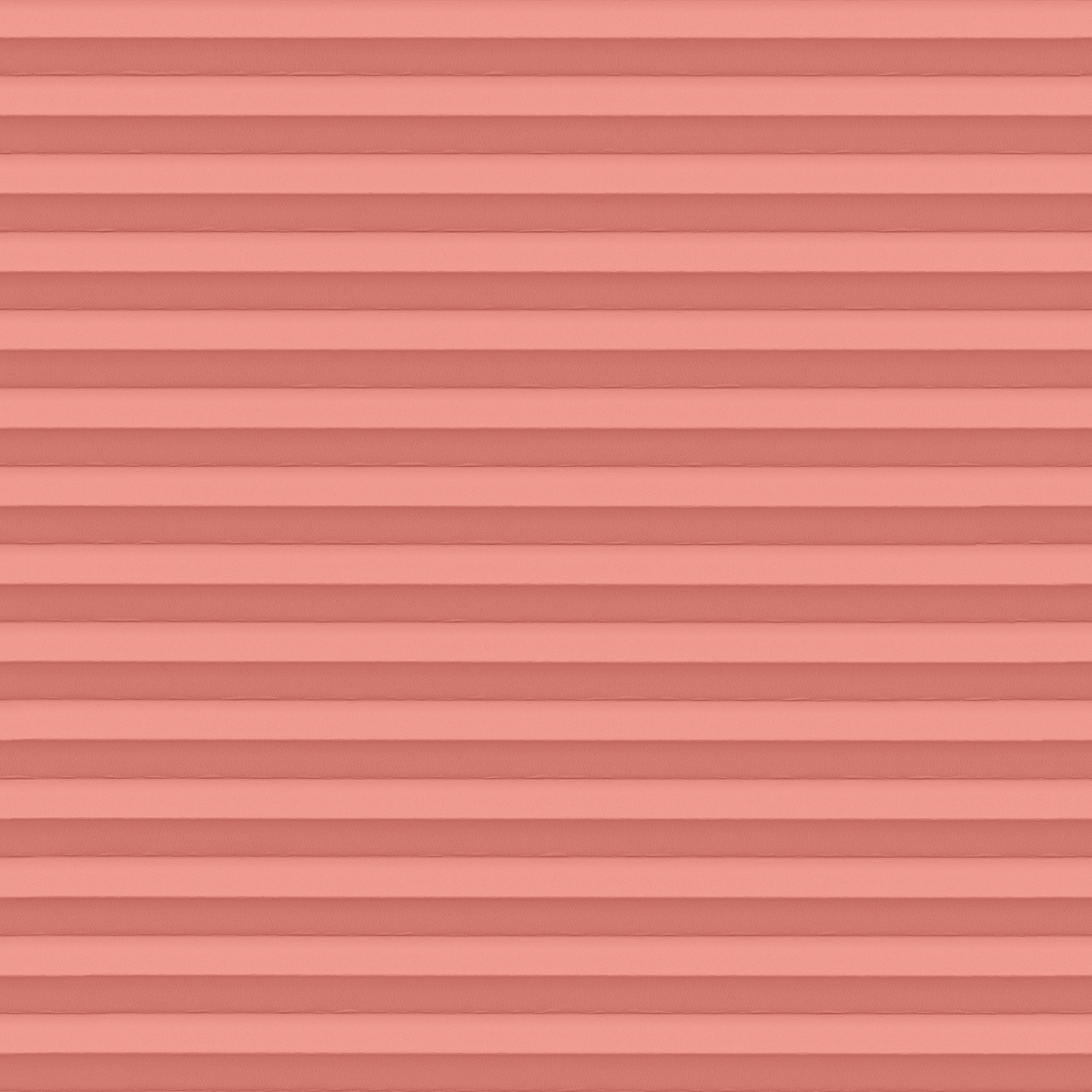 Vivid Blackout 4621 fern