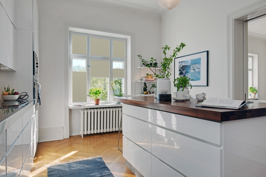 Plissee Wabe Rimano 4381 Küche