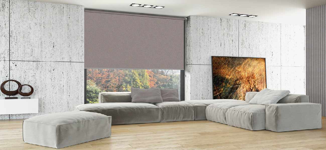 Rollo 3660 Wohnzimmer Grau