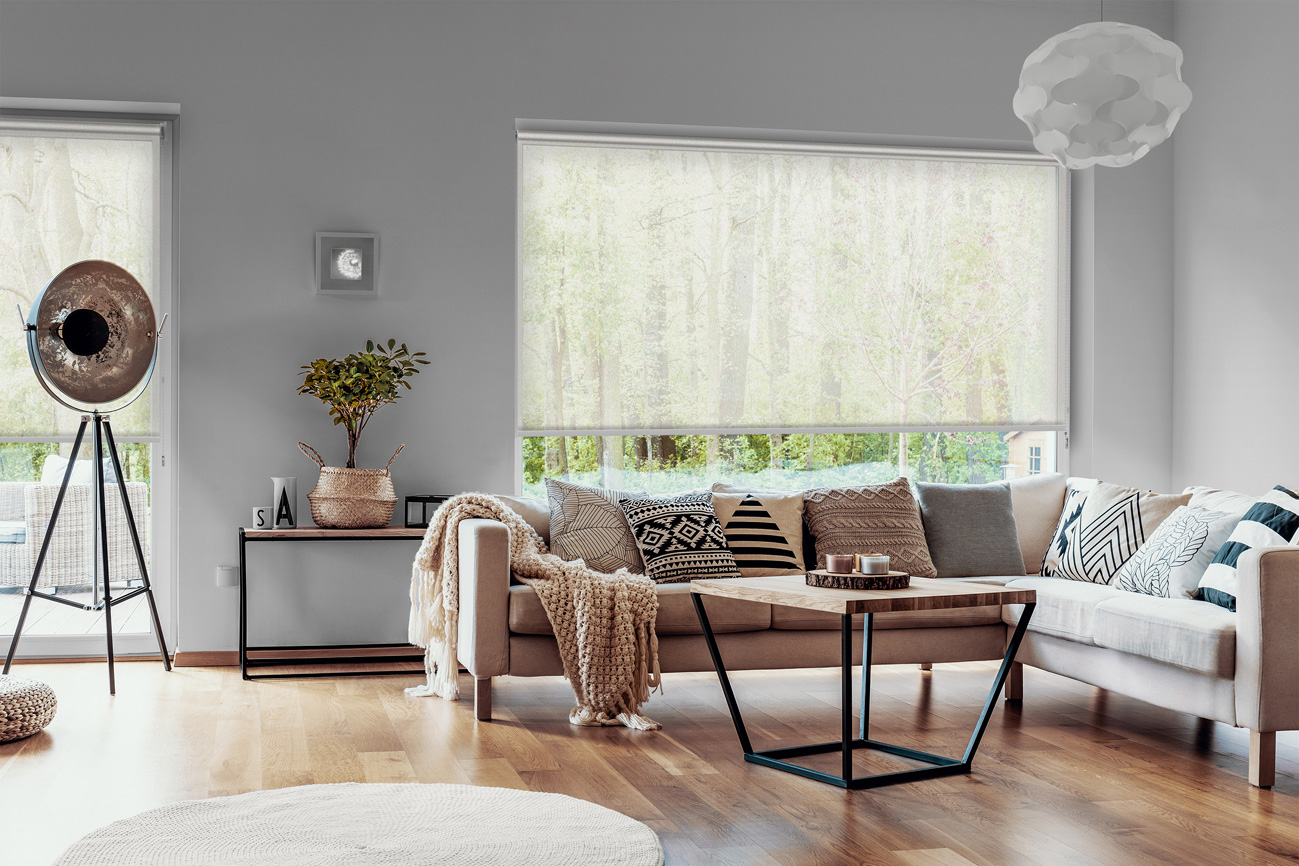 Rollo Asta 3825 Wohnzimmer