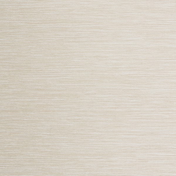 Rollo Asta 3826