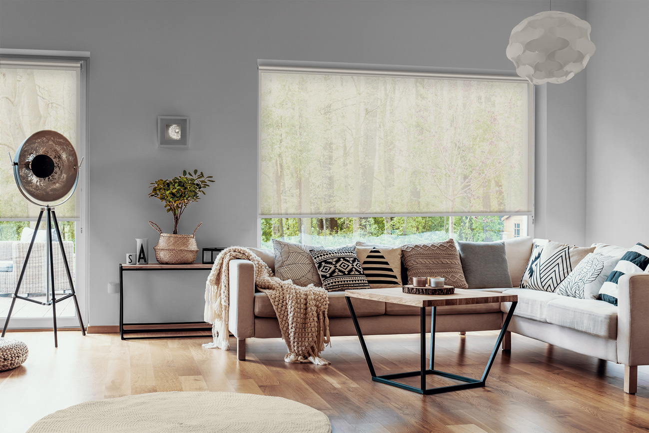 Rollo Asta 3826 Wohnzimmer