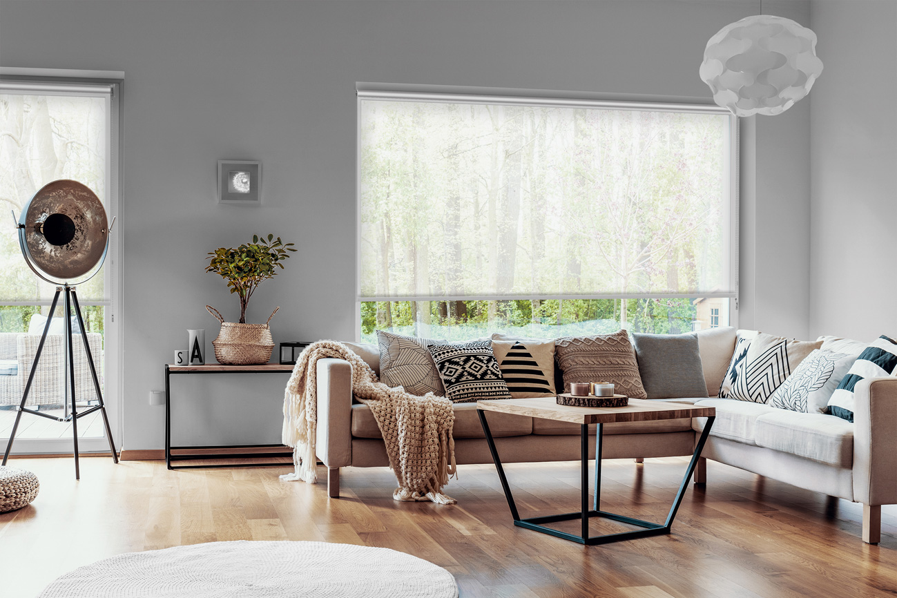 Rollo Basic 3756 Wohnzimmer