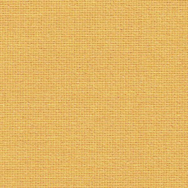 Basic DimOut 3047