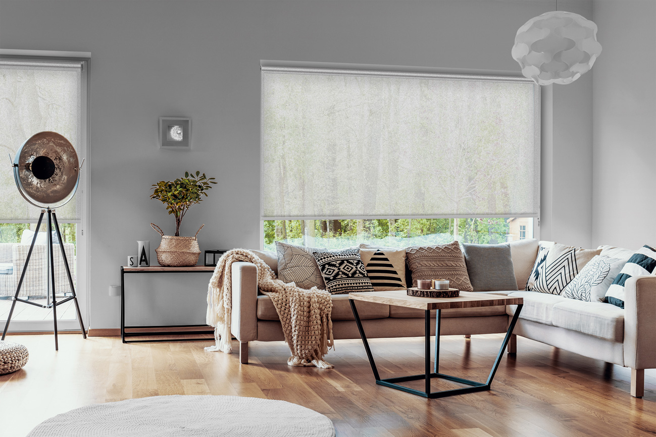 Rollo Borroso 3775 Wohnzimmer