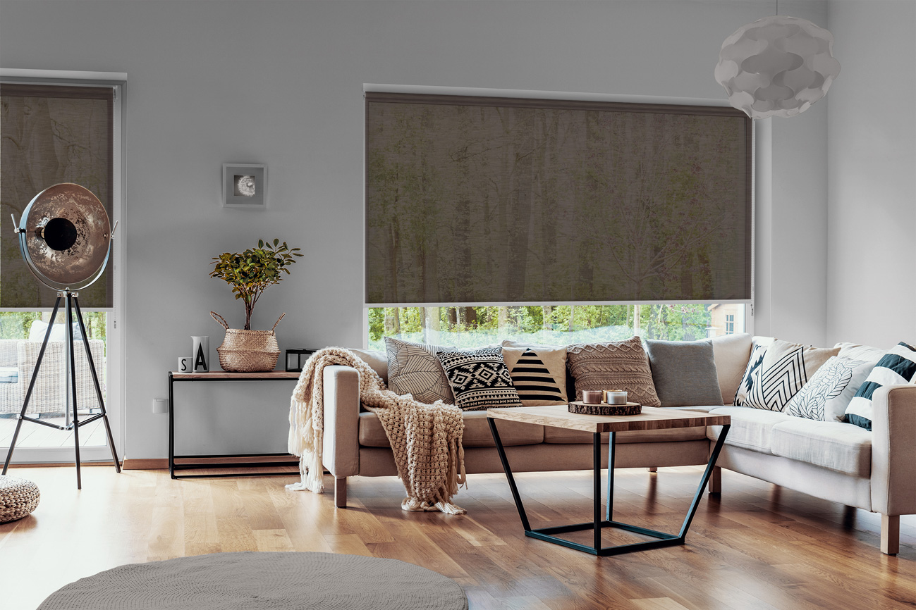 Rollo Chiaro 3889 Wohnzimmer