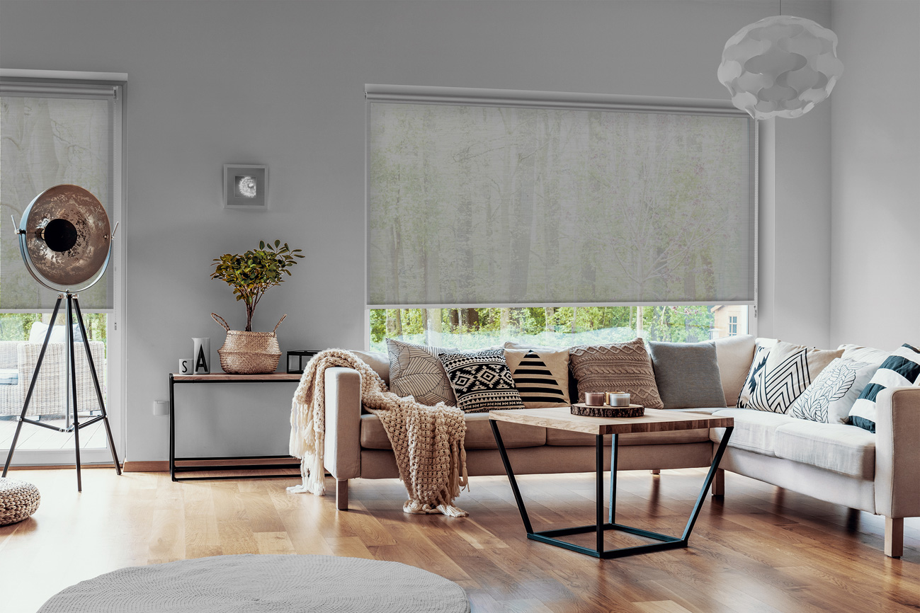 Rollo Chiaro 3891 Wohnzimmer