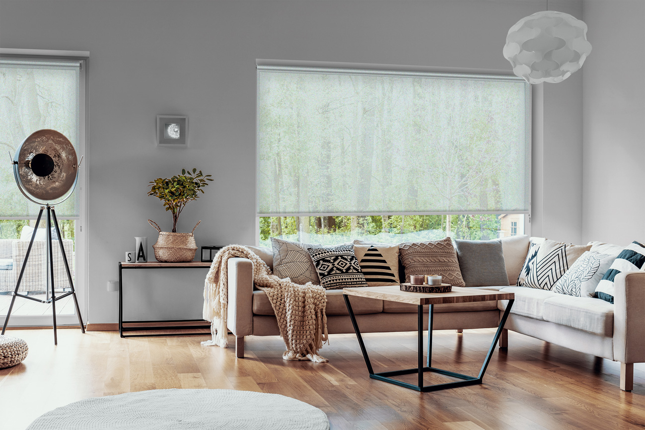 Rollo Droga 3781 Wohnzimmer