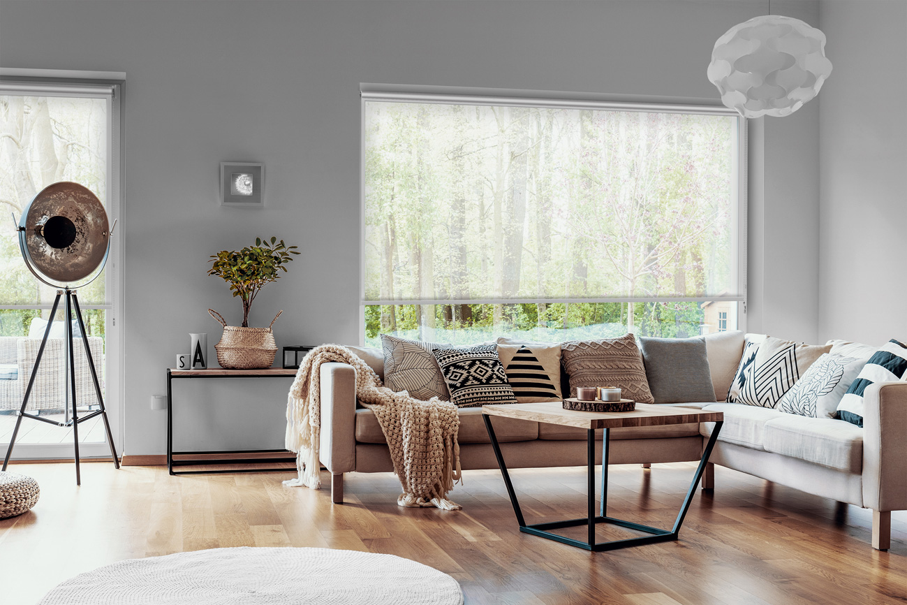 Rollo Droga 3790 Wohnzimmer