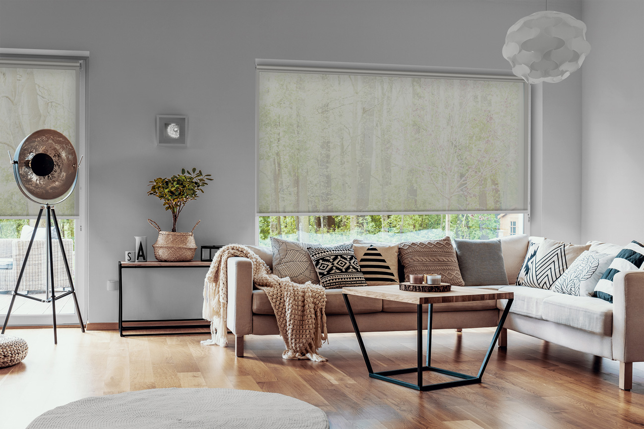 Rollo Leggero 3890 Wohnzimmer