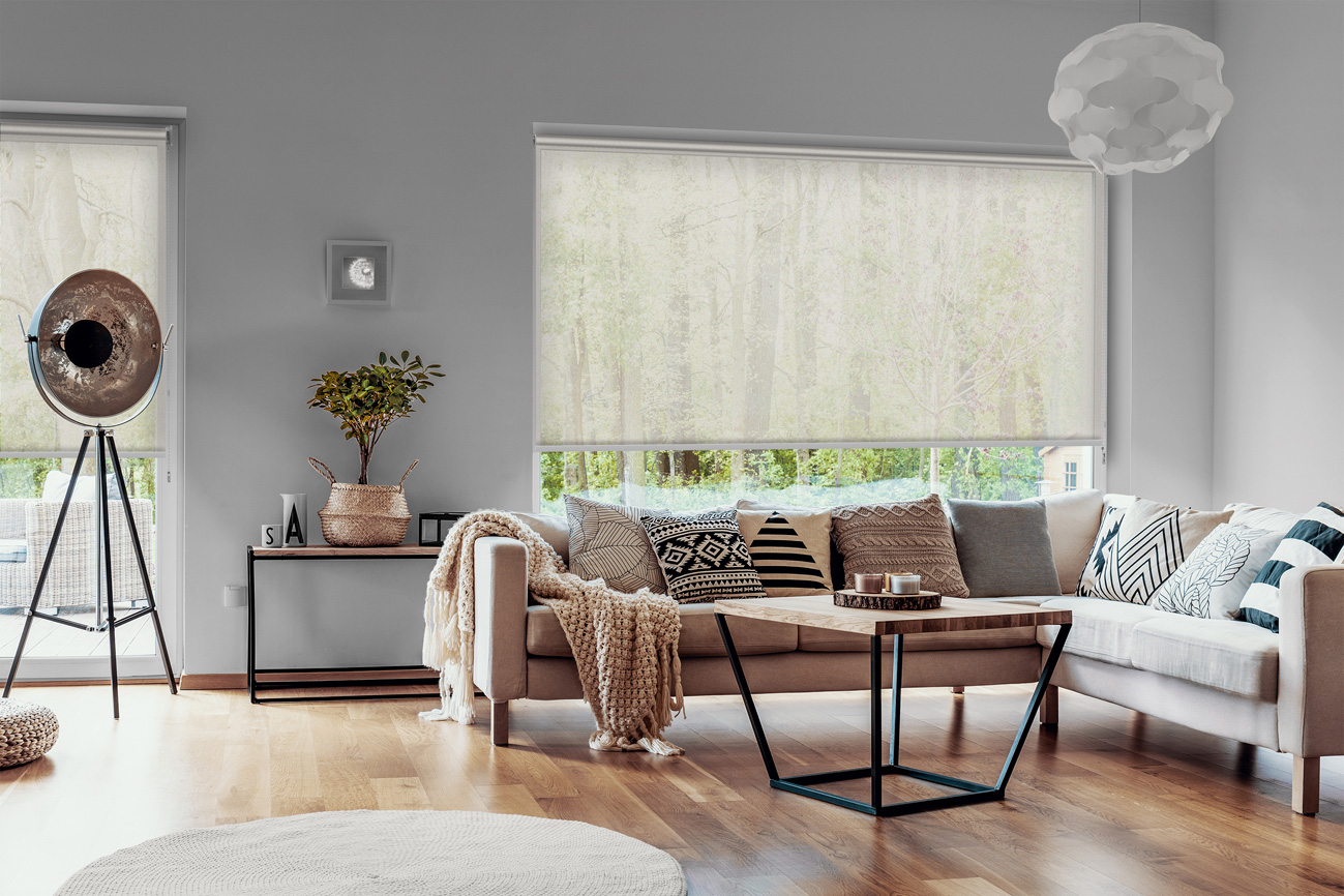 Rollo Natura 3770 Wohnzimmer