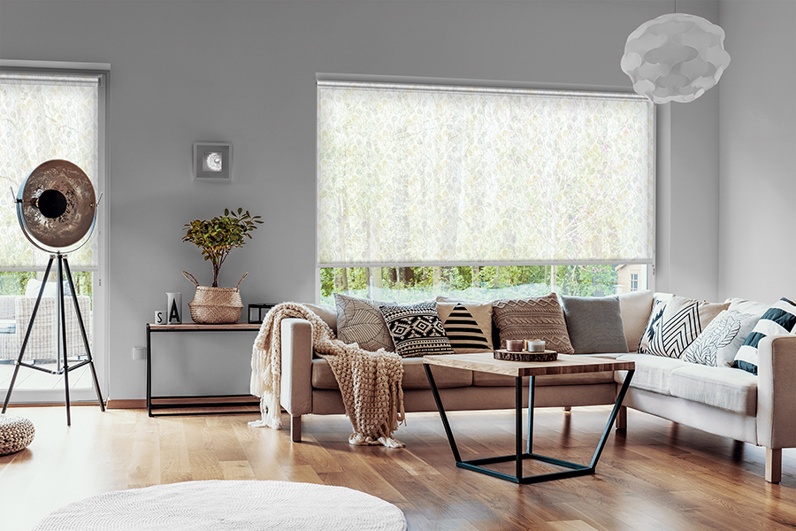 Rollo Pinta 3909 Wohnzimmer