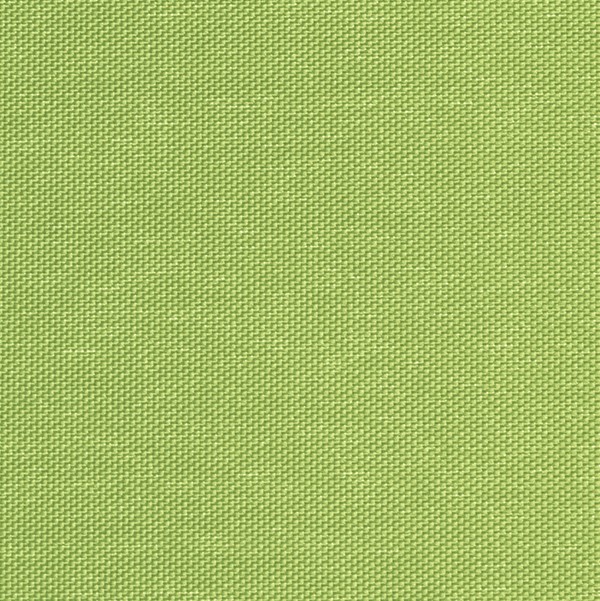 Rollo Ruolo 3838