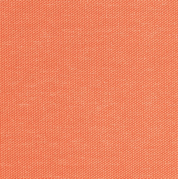 Rollo Ruolo 3840