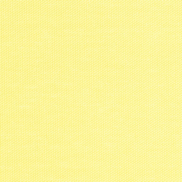 Rollo Ruolo 3842
