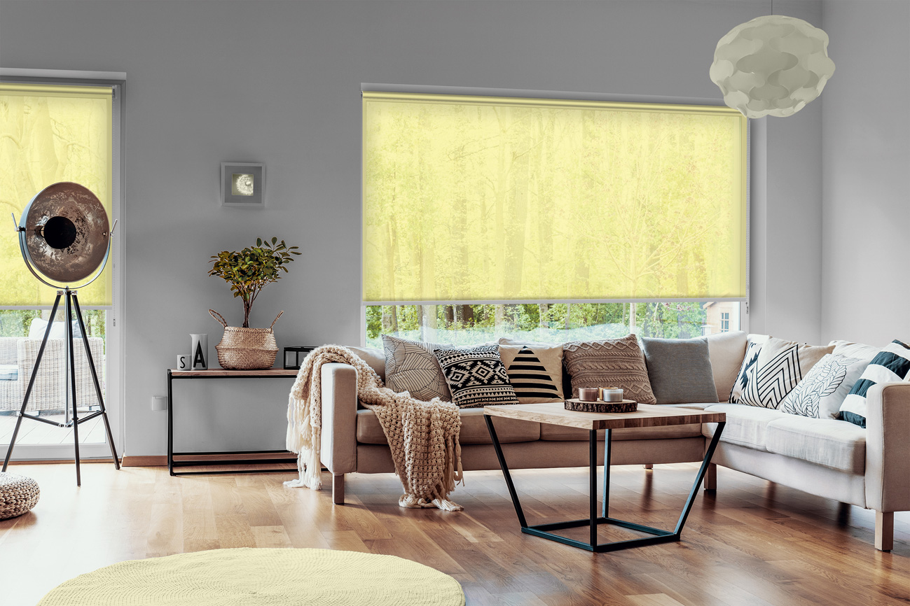 Rollo Ruolo 3842 Wohnzimmer