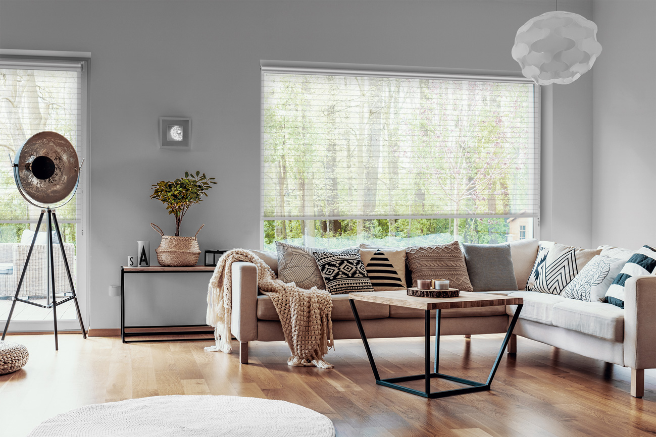 Rollo Stretta Grande 3894 Wohnzimmer
