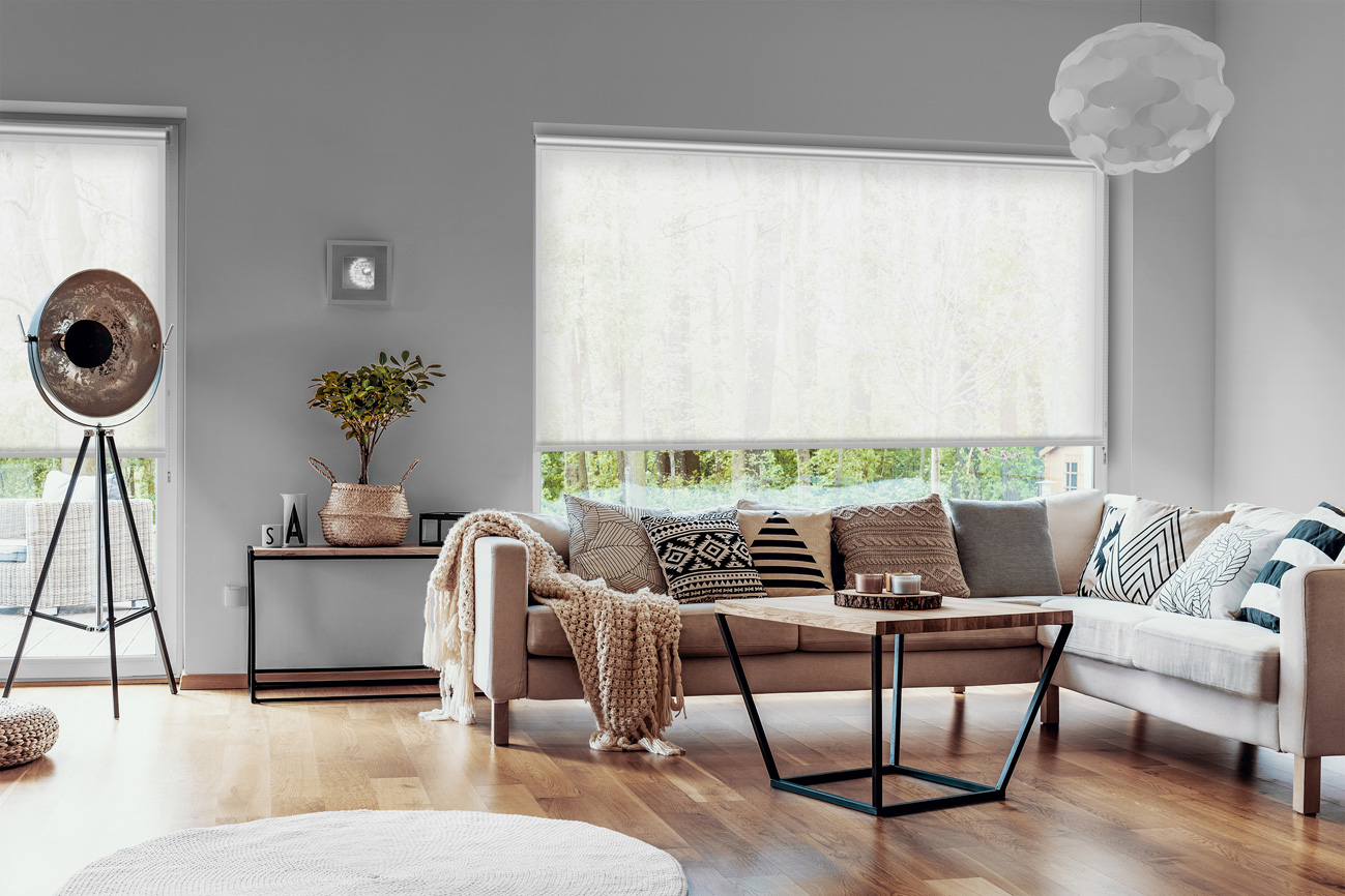 Rollo Temprano 3902 Wohnzimmer