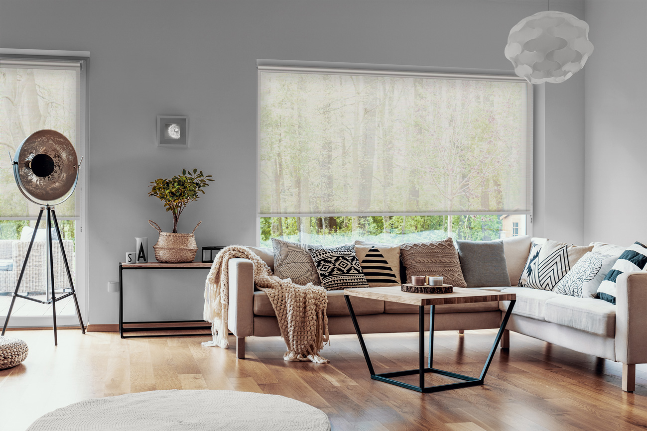 Rollo Vista 3772 Wohnzimmer