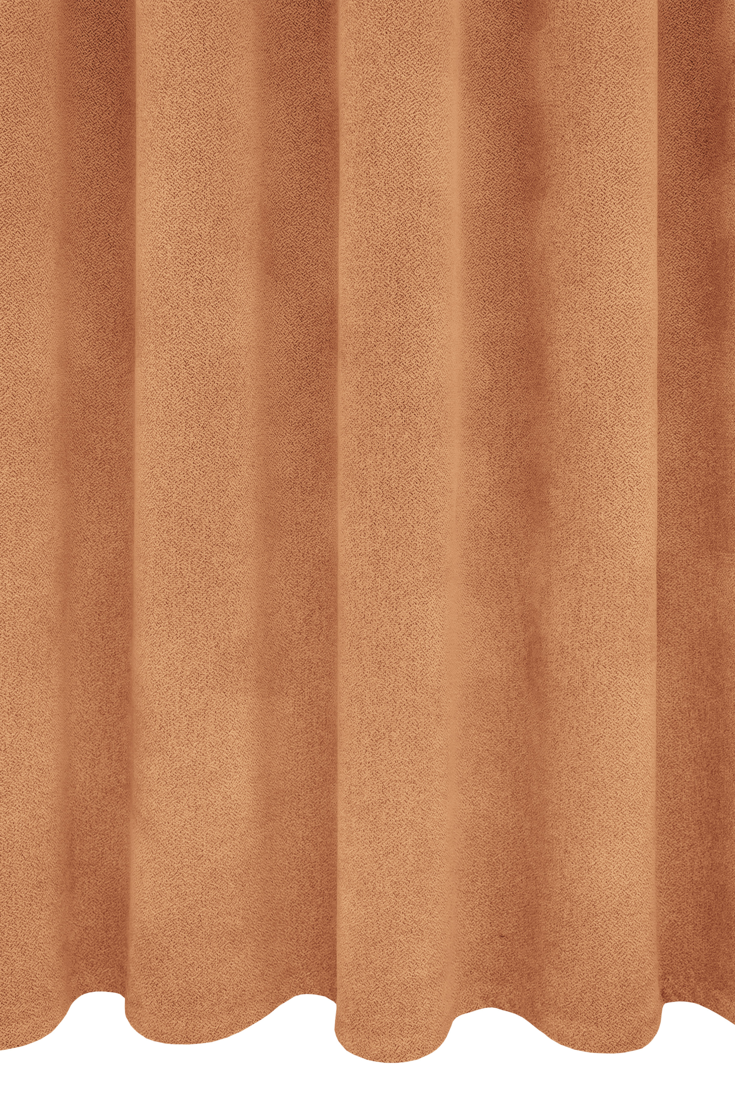 Orange Rapport